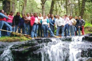 Excursiones de grupo